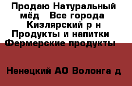 Продаю Натуральный мёд - Все города, Кизлярский р-н Продукты и напитки » Фермерские продукты   . Ненецкий АО,Волонга д.